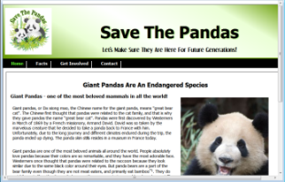 Save The Pandas Web Design